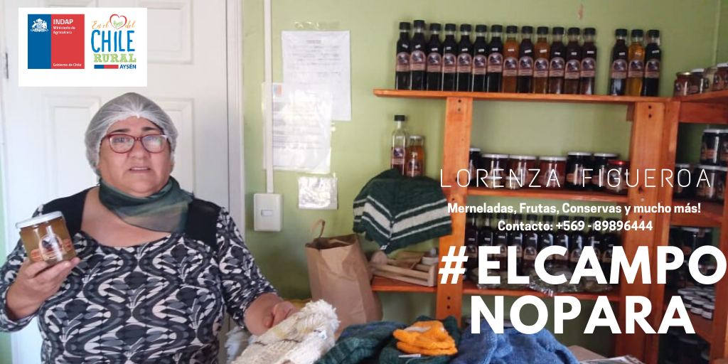 Mercado Online: Campesinos de Aysén ofrecen productos a través de internet