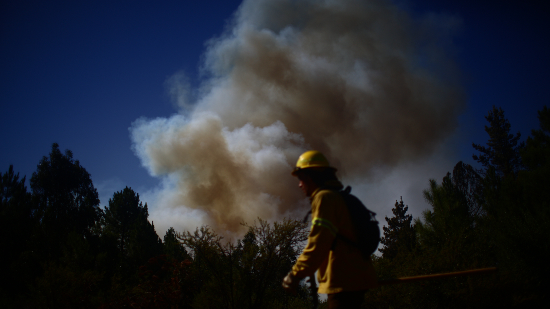 Incendio afecta al sector Villa Hermosa de Viña del Mar