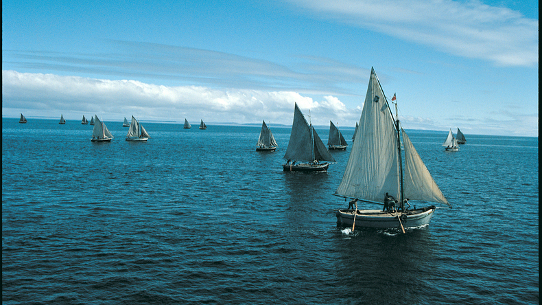 13C estrena documentales para conmemorar el Mes del Mar