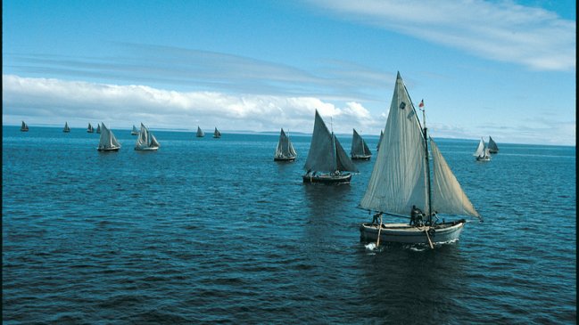 13C estrena documentales para conmemorar el Mes del Mar