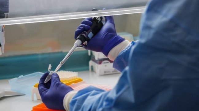 Subsecretaria aseguró que el ISP recibe exámenes PCR de forma normal