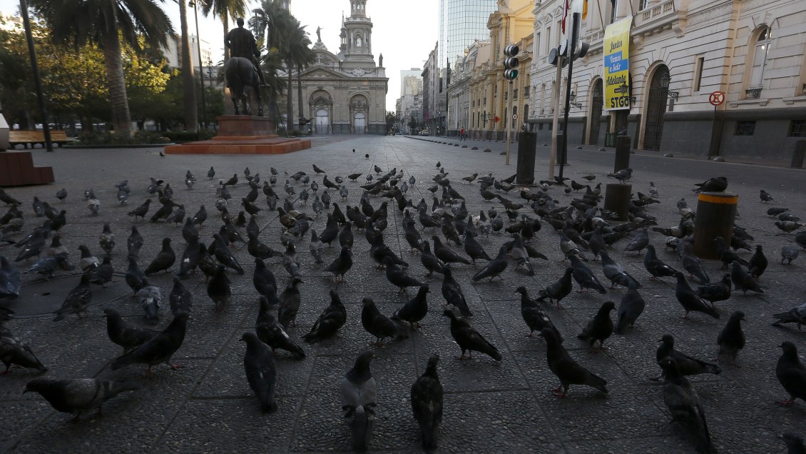 Sociedad de Infectología: Una cuarentena de siete días parece poco para la situación de Santiago