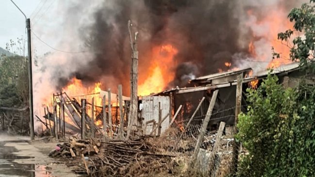 Incendio destruyó cuatro viviendas en Pencahue