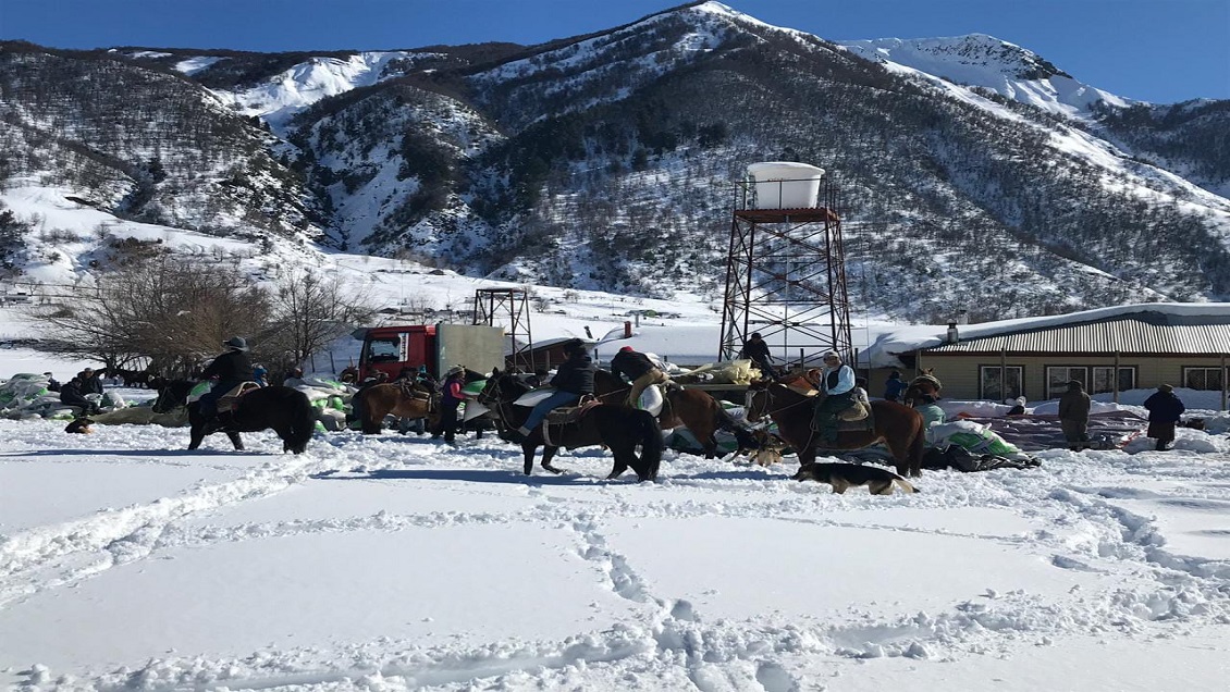 Alto Biobío: Registra cuatro casos de coronavirus en solo dos días