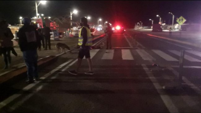 Adulto mayor murió atropellado en la Caleta Michilla: Conductor huyó