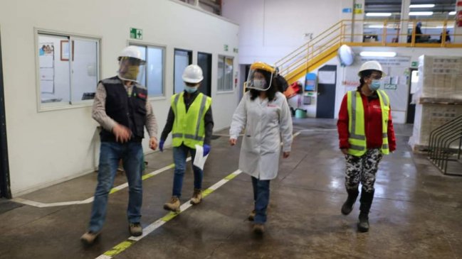 Cuarto foco de Covid-19 afecta a frutícola de Retiro en el Maule