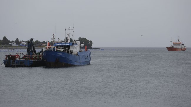 Trabajadores de la industria del chorito dieron positivo por Covid-19 en Chiloé