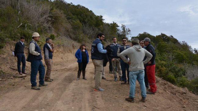 Tribunal Ambiental condenó a inmobiliaria a restaurar daños causados en Santo Domingo