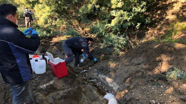 Ránquil: Seremi investiga filtración de efluentes desde ducto de Celulosa Arauco