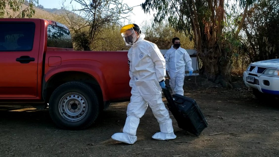 PDI indaga tres homicidios ocurridos durante el fin de semana en O'Higgins