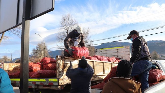 Cooperativa campesina y municipio de Lonquimay entregan sacos de papas a 600 familias