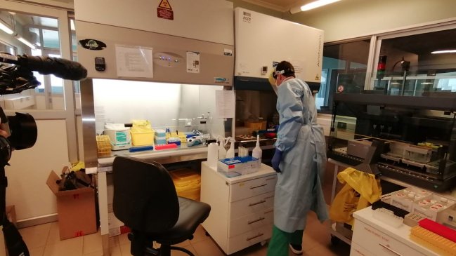 La Araucanía registra una nuevo deceso por Covid-19