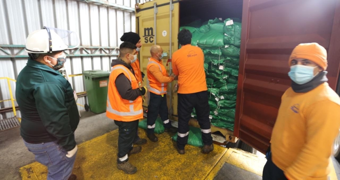 Chile importó más de 240 toneladas de legumbres para enfrentar alta demanda
