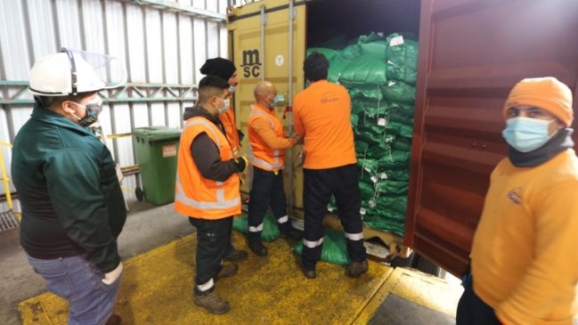 Chile importó más de 240 toneladas de legumbres para enfrentar alta demanda