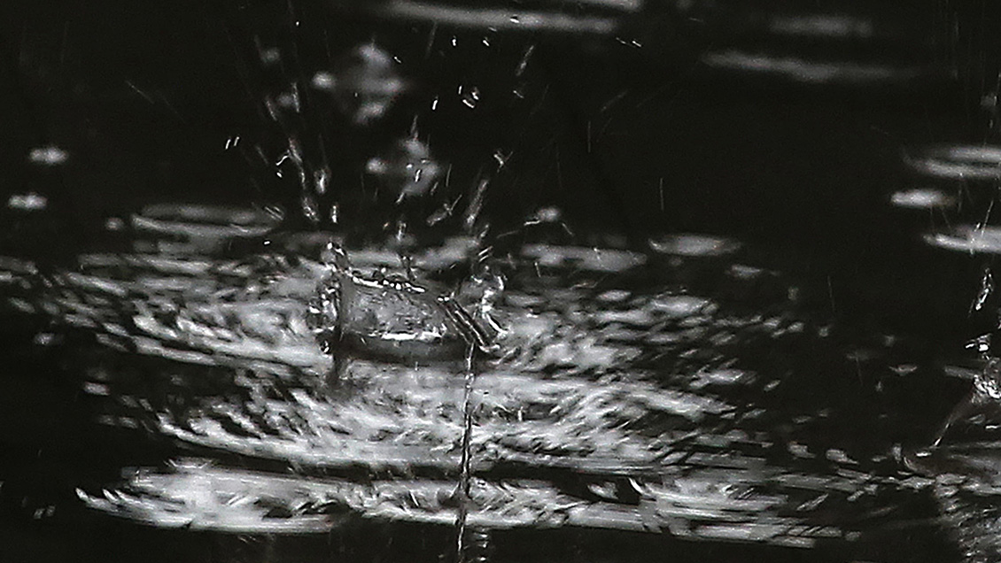 Meteorólogo Eduardo Sáez: 