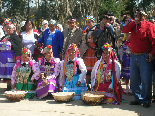 Conadi llamó a celebrar en casa el Año Nuevo Mapuche