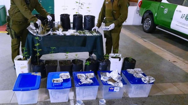 Fiesta clandestina en el centro de Iquique terminó con detenidos y decomiso de drogas