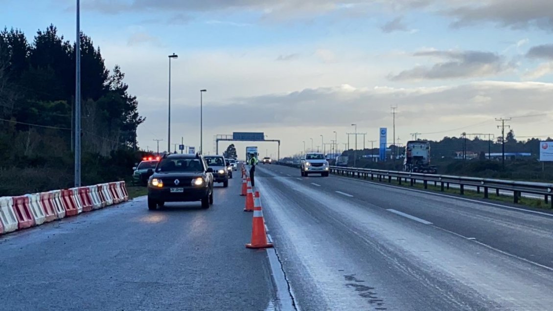 Con fiscalizaciones aleatorias partió aduana sanitaria en la provincia de Llanquihue