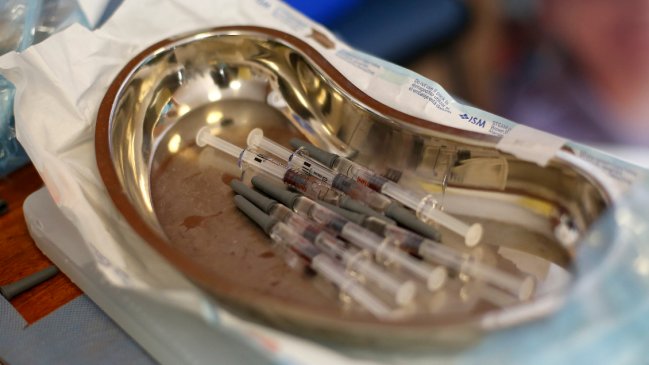 Científicos prueban con éxito posible vacuna contra Covid-19 en roedores