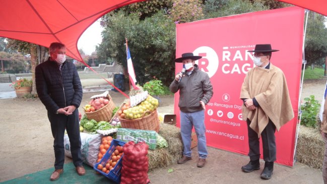 Rancagua: Federación de Rodeo y Huasos donó más de 12 toneladas de alimentos y forraje para animales