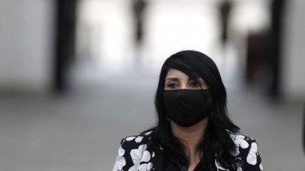 Vocera de Gobierno hace mea culpa por gestión de la pandemia