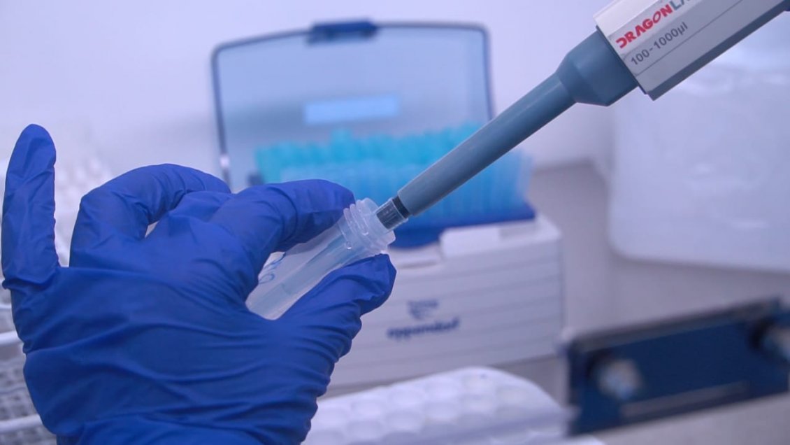 Covid-19: Región del Biobío ha realizado más de 66 mil exámenes PCR