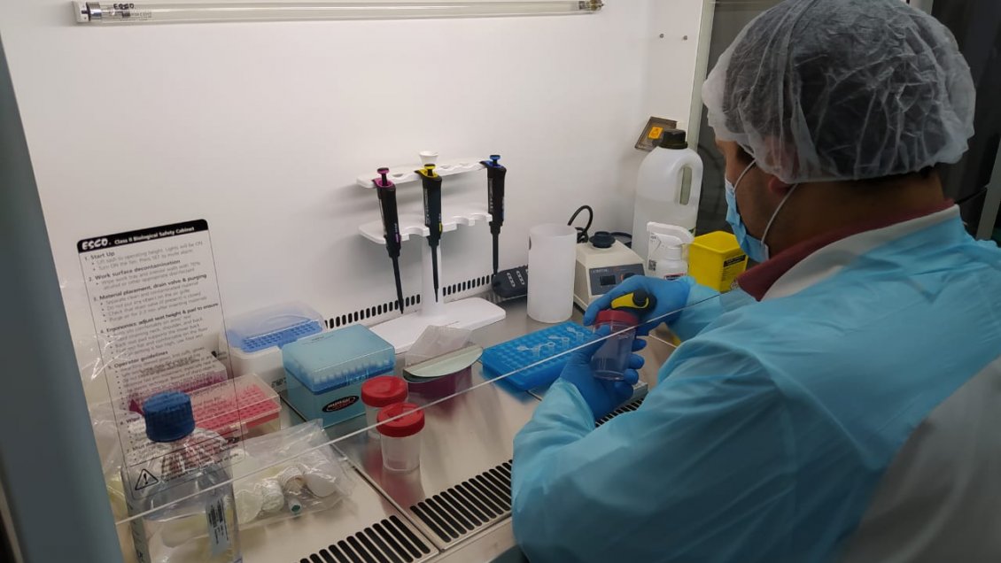 Autorizan funcionamiento de primer laboratorio público para el análisis de muestras PCR en Aysén