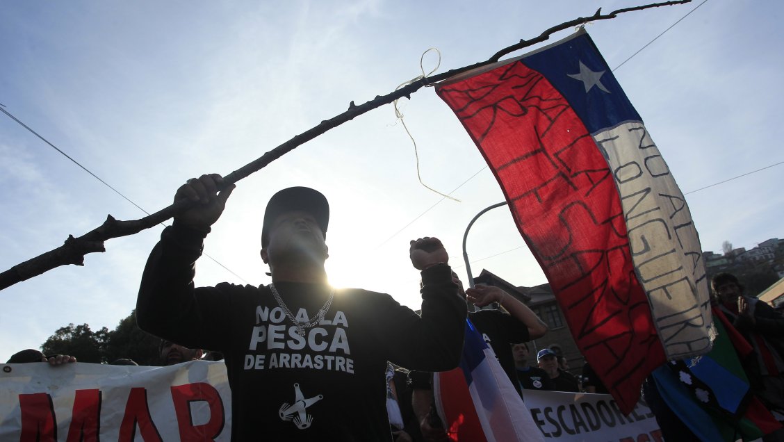 TC declaró inadmisible recurso presentado por pesquera contra la Ley de la Jibia