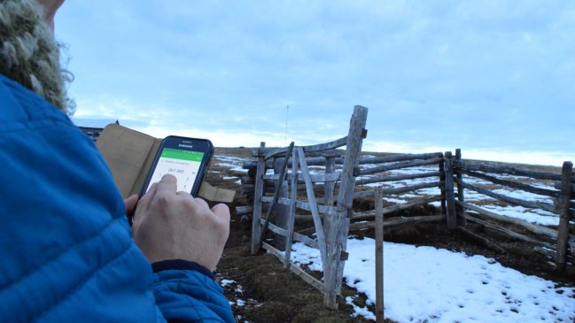 Fibra Óptica Austral permitirá la conectividad de 25 localidades de Aysén y Los Lagos