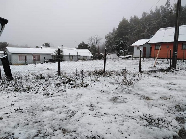 Caída de nieve en Santa Juana impide acceso del transporte público a sector rural