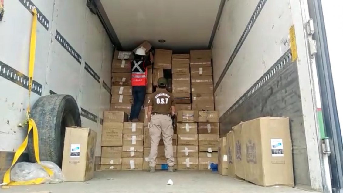 Más de 700 mil cajetillas de cigarros fueron sacadas del mercado negro en histórico decomiso en el norte
