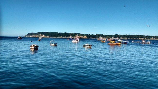 Vuelco en detención de ucraniano en Isla Quiriquina: Se tiró del barco para figurar como desaparecido