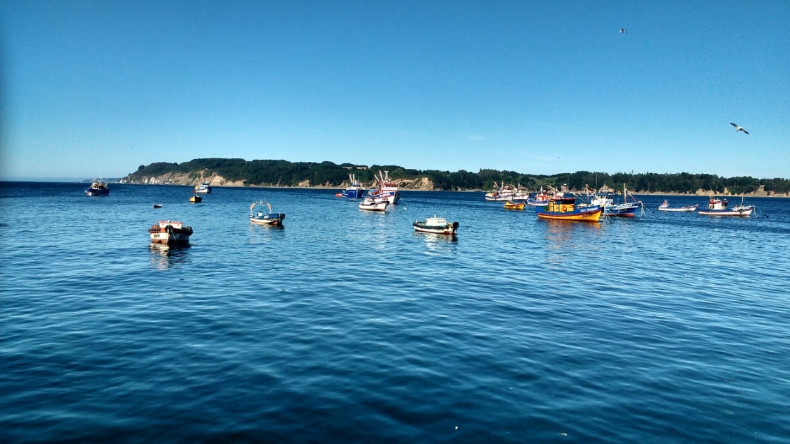 Ucraniano fue detenido tras nadar hasta Isla Quiriquina