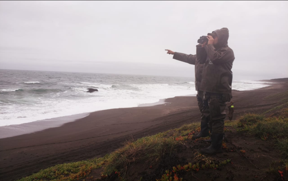Curanipe: Gobernación mantiene esperanza de encontrar a pescador tras siete días de operativos de búsqueda