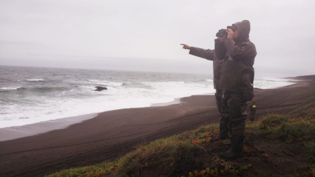 Curanipe: Gobernación mantiene esperanza de encontrar a pescador tras siete días de operativos de búsqueda