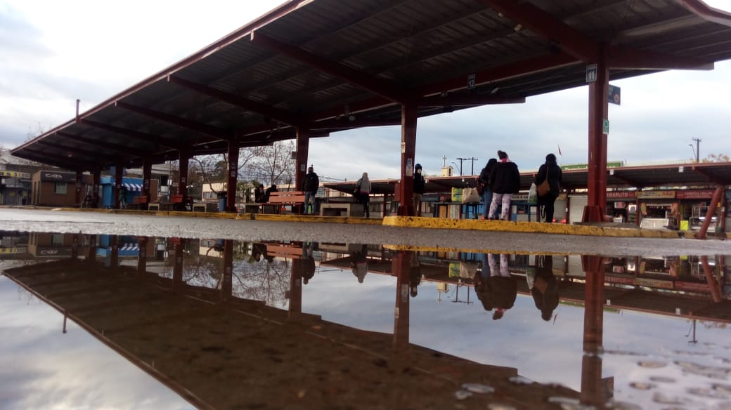 Gobierno acusó amenazas a choferes del plan de contingencia por paro de buses rurales en el Maule