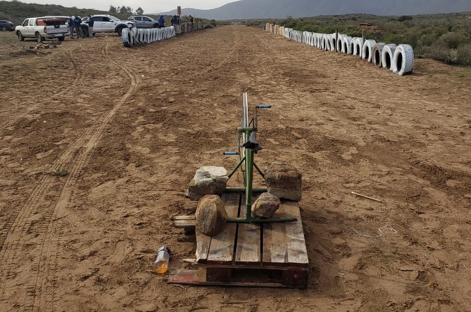 Los Vilos: 12 detenidos por carreras clandestinas de perros