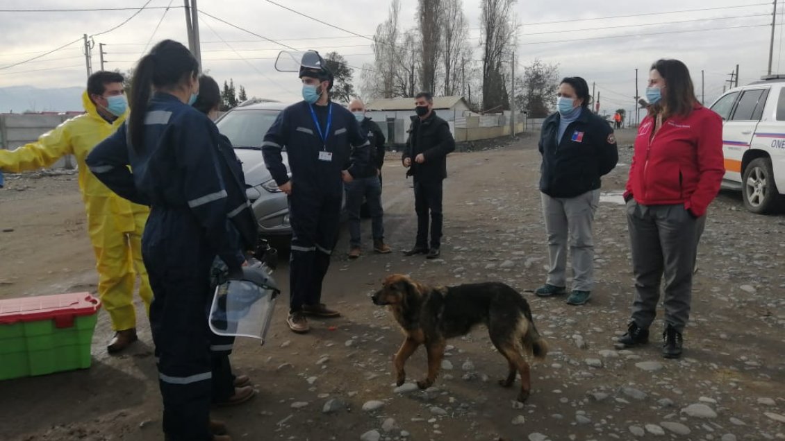 Autoridades de Salud realizan testeos masivos de PCR en O'Higgins