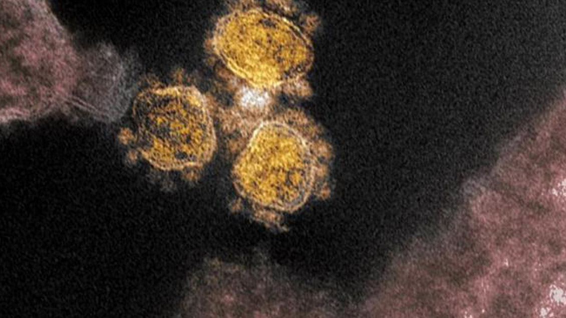 Equipo de la OMS partió hacia China para investigar los orígenes del coronavirus