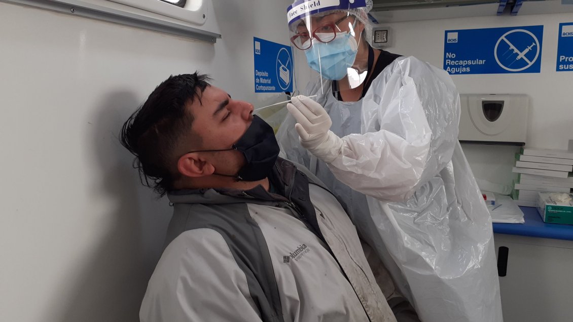 Terminal Pesquero de Coquimbo fue centro de masivo testeo de exámenes PCR