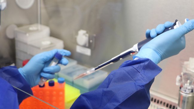 La Región de Coquimbo ya tiene seis laboratorios para procesar exámenes PCR