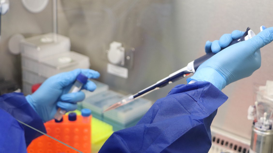 La Región de Coquimbo ya tiene seis laboratorios para procesar exámenes PCR