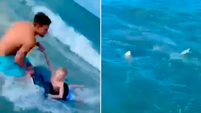 [Video] Policía se lanzó al mar y salvó a niño que tenía un tiburón ...