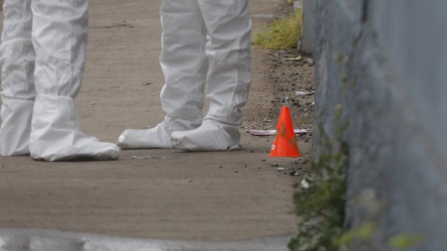 Mascota llegó a su casa con un cráneo en Punta de Tralca
