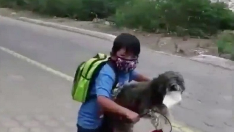Niño le puso mascarilla a su perro y se viralizó, provocando pura ternura