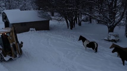  Maquinaria municipal despejó camino a El Ceballo en Chile Chico  