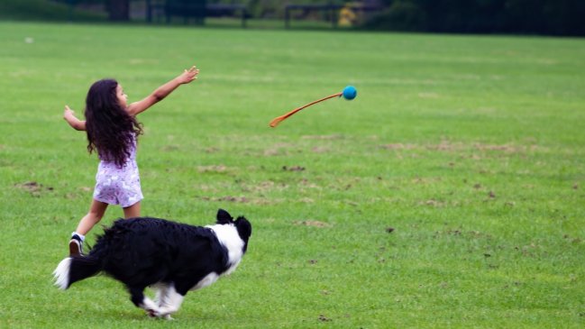 Gobierno anunció que trabaja en un plan para que los niños y niñas también puedan salir durante la cuarentena
