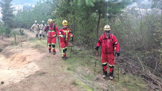 PDI investiga hallazgo de posible osamenta humana en Curepto