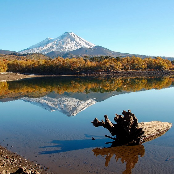 Solicitan a Conaf abrir parques nacionales de La Araucanía