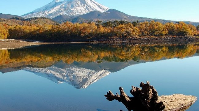 Solicitan a Conaf abrir parques nacionales de La Araucanía